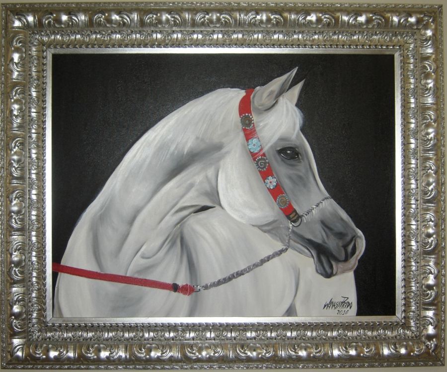 Cavalo Árabe II, acrílico sobre tela, 60 x 80, Brasil 2010.
