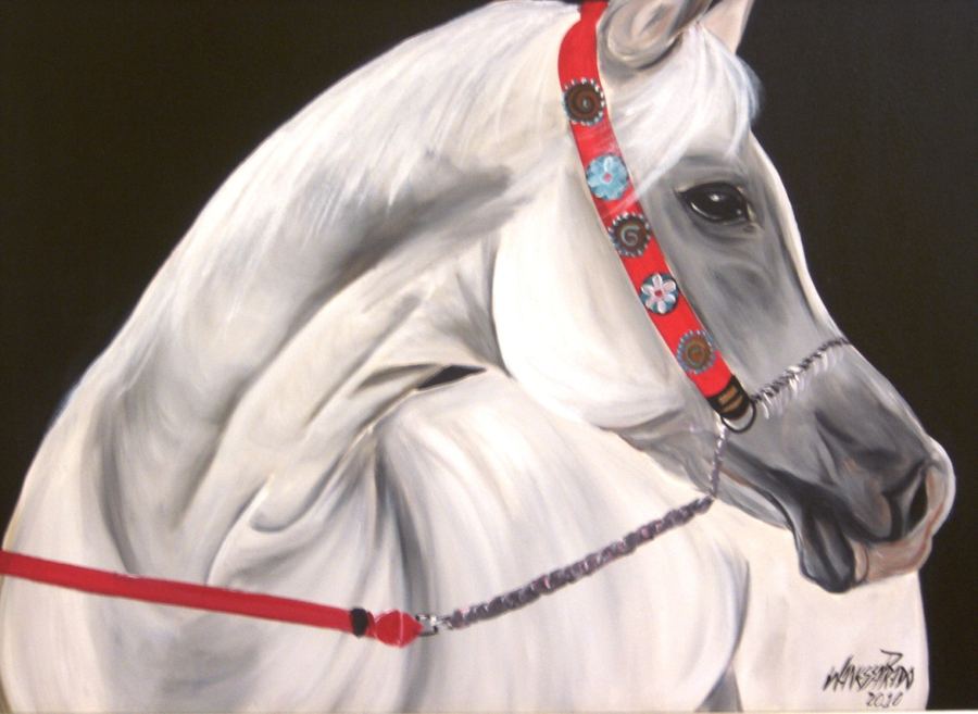 Cavalo Árabe II, acrílico sobre tela, 60 x 80, Brasil 2010.