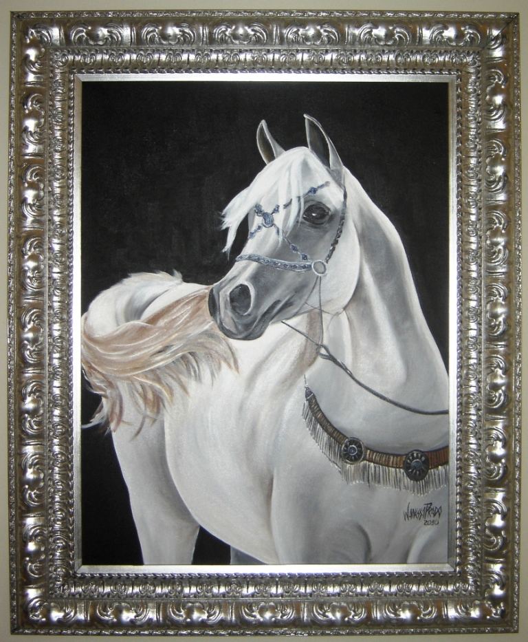 Cavalo Árabe I, 80 x 60, acrílico sobre tela, Brasil 2010.