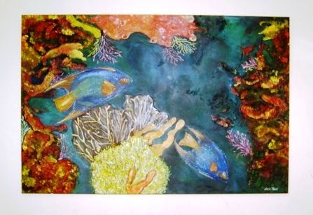 Coral 1 Deila