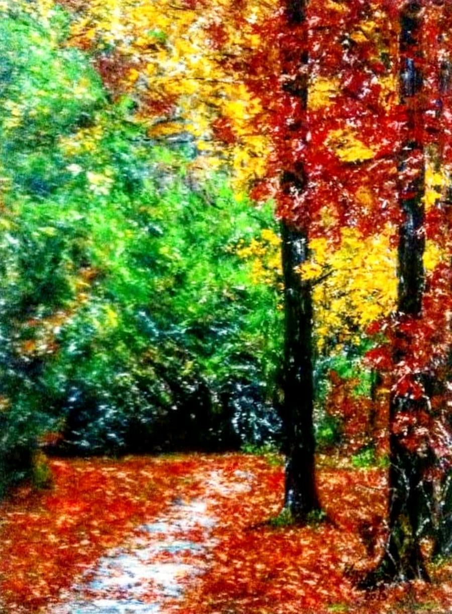 O Caminho, 60 x 80, acrílico sobre tela, Brasil 2013.