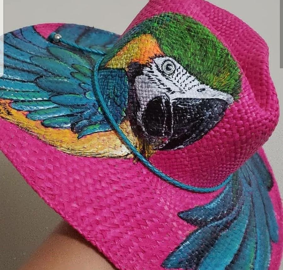 Nacional Aba Larga Pink, Arara Canindé