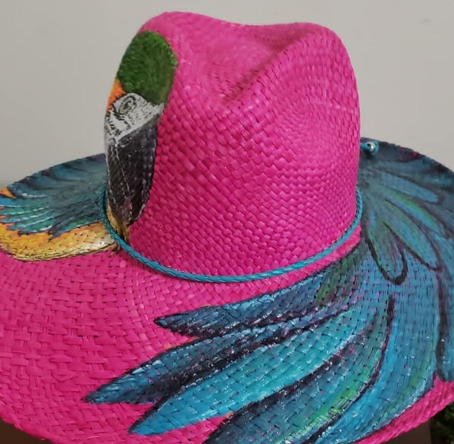 Nacional Aba Larga Pink, Arara Canindé
