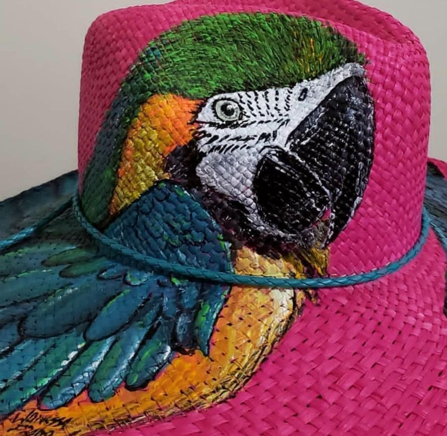 Nacional Aba Larga Pink, Arara Canindé