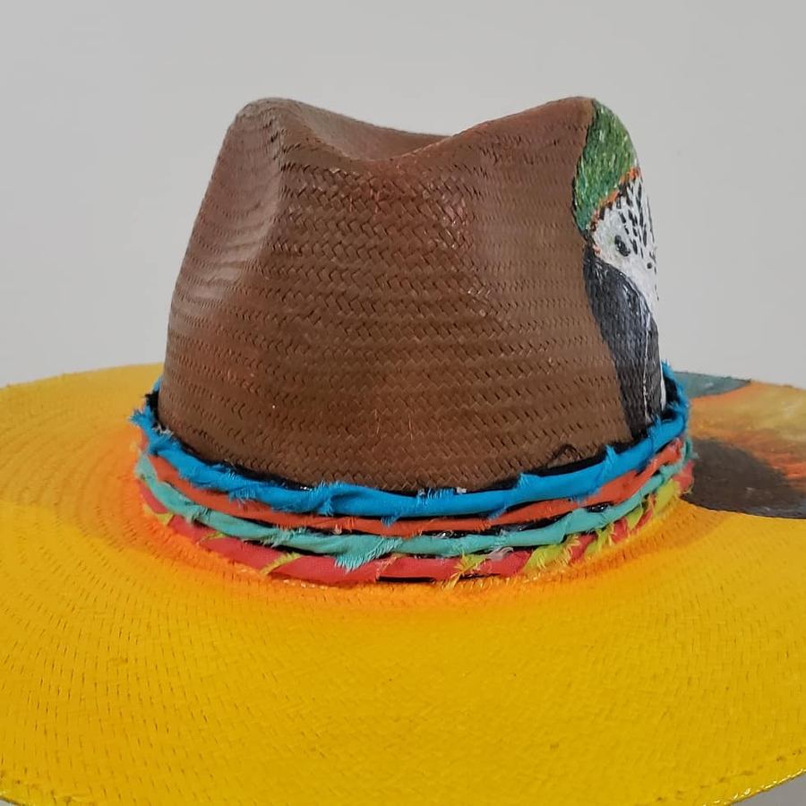 Nacional Aba Larga Amarela, Arara Canindé