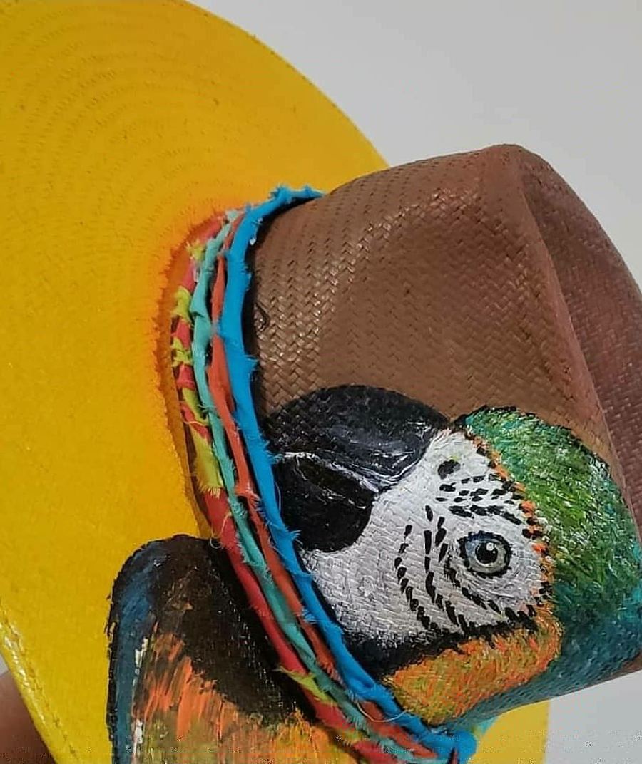 Nacional Aba Larga Amarela, Arara Canindé