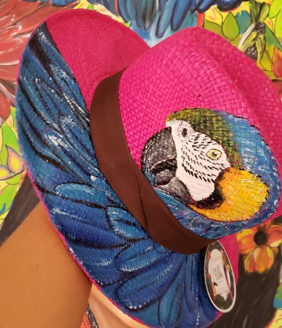Nacional Aba Média Pink, Arara Canindé