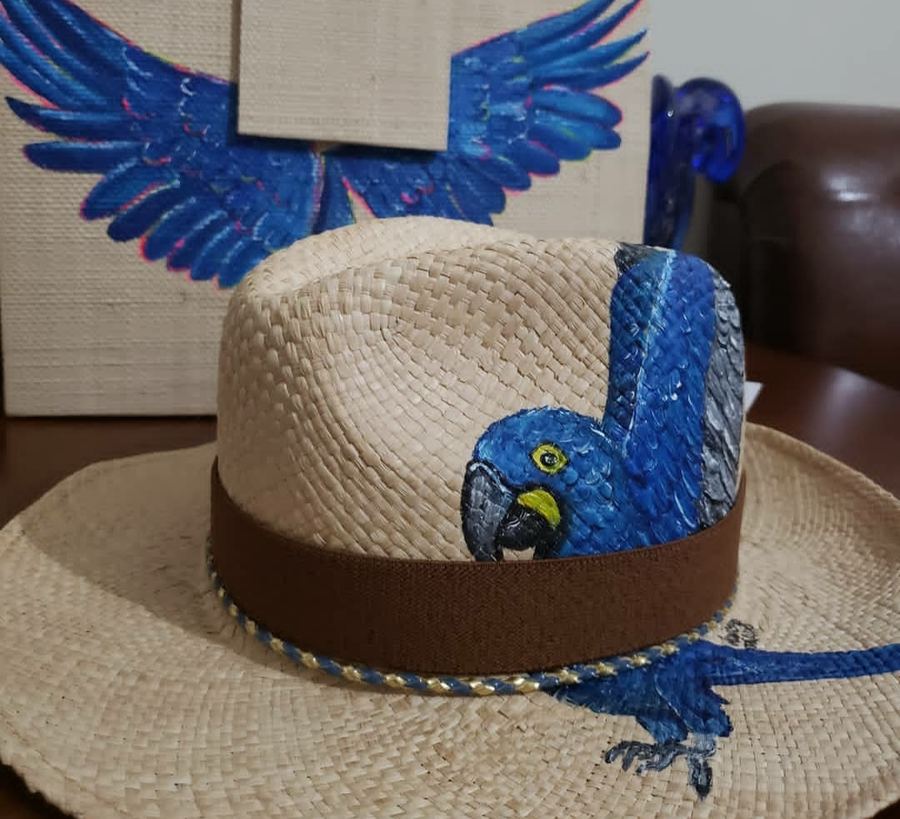 Nacional Clássico Natural, Aba Média, Arara Azul