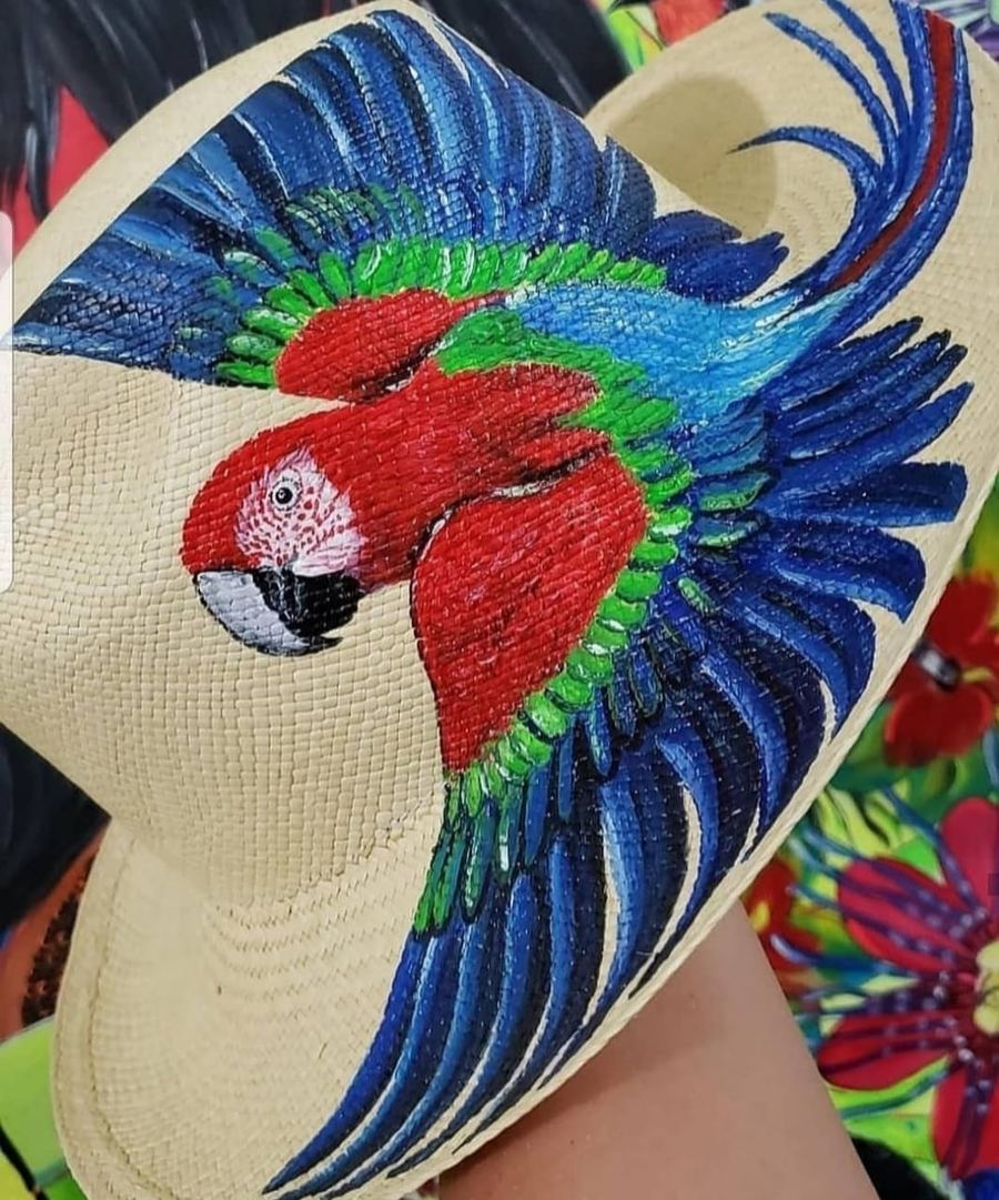Chapéus Panamá Clássicos, 1