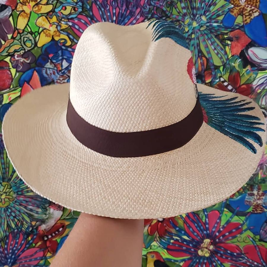 Panamá Arara Vermelha