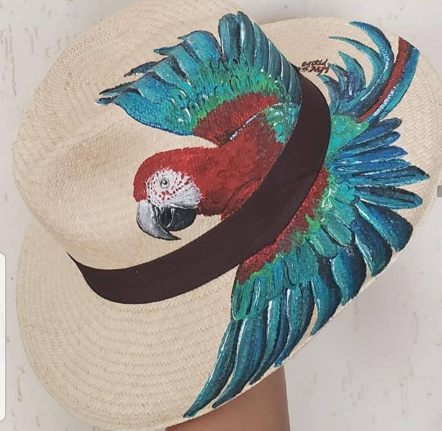 Panamá Arara Vermelha