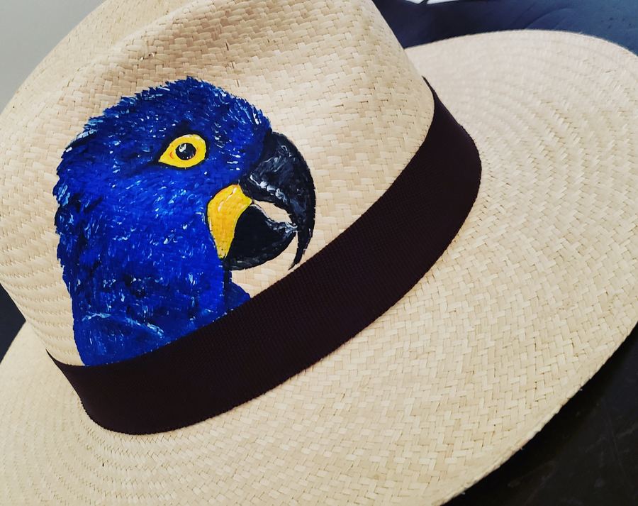 Panamá Arara Azul