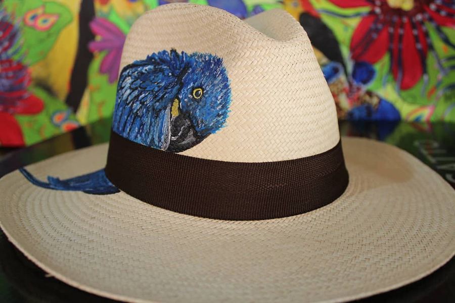 Panamá Arara Azul