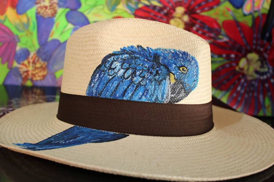 Panamá Arara Azul