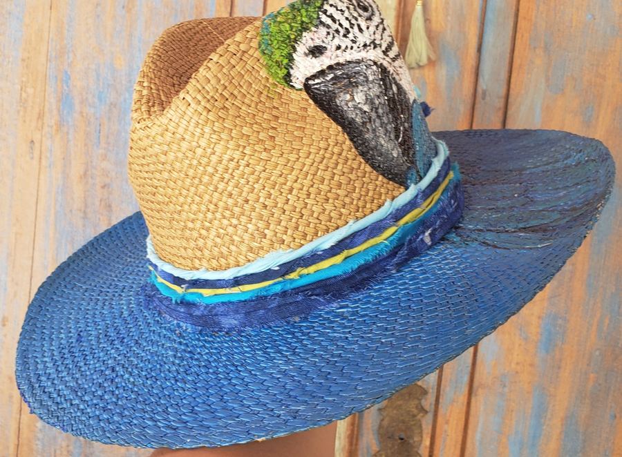 Panamá Indiana Aba Azul Arara Canindé